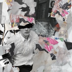 PAPER TRAIL #3560